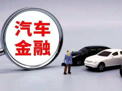 柞水押车贷款不是本人可以么?